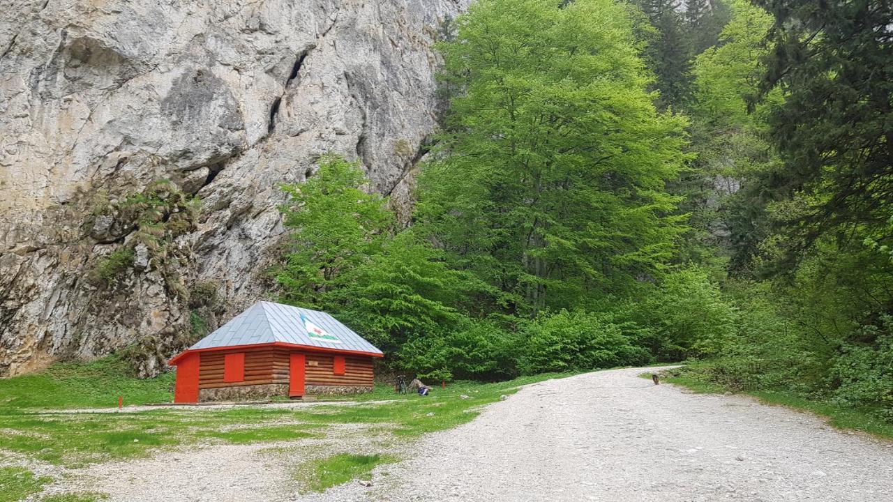 Hotel Pensiunea Casa Zarnesteana Zărneşti Exterior foto