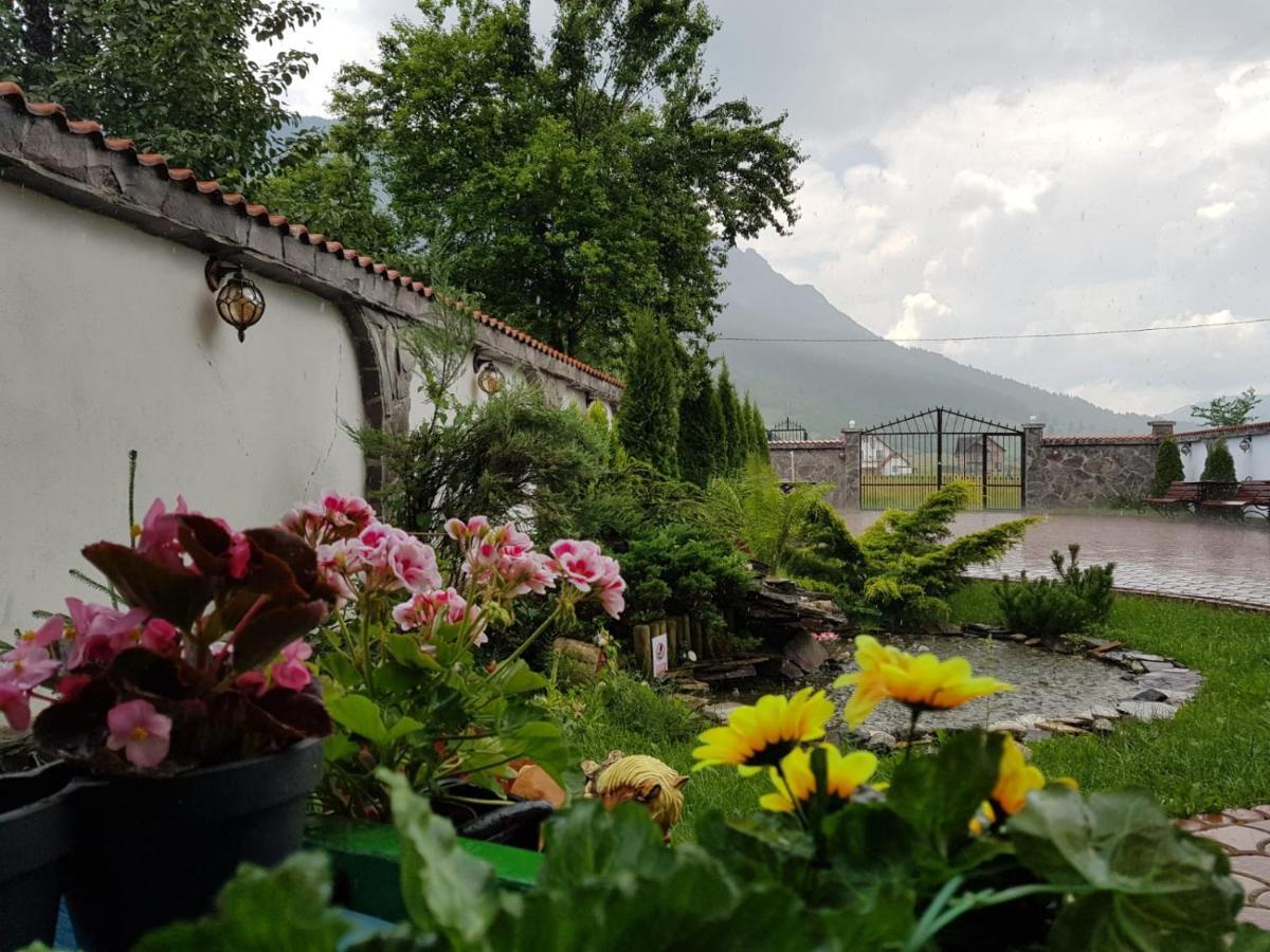 Hotel Pensiunea Casa Zarnesteana Zărneşti Exterior foto